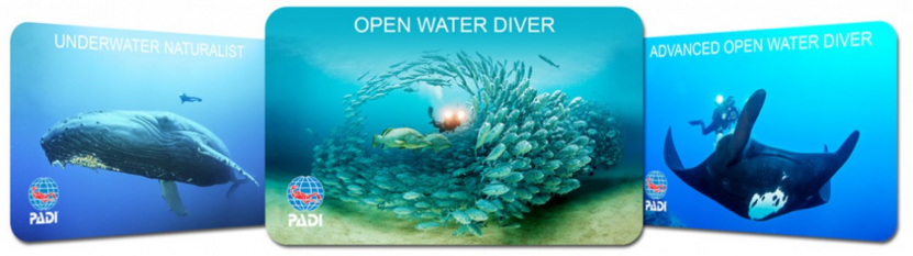 Open water diver