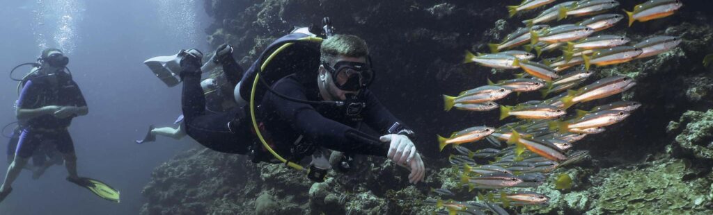 Scuba diver with fish